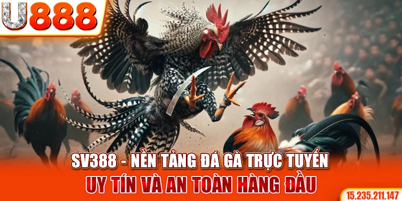 SV388 - Nền tảng đá gà trực tuyến uy tín và an toàn hàng đầu